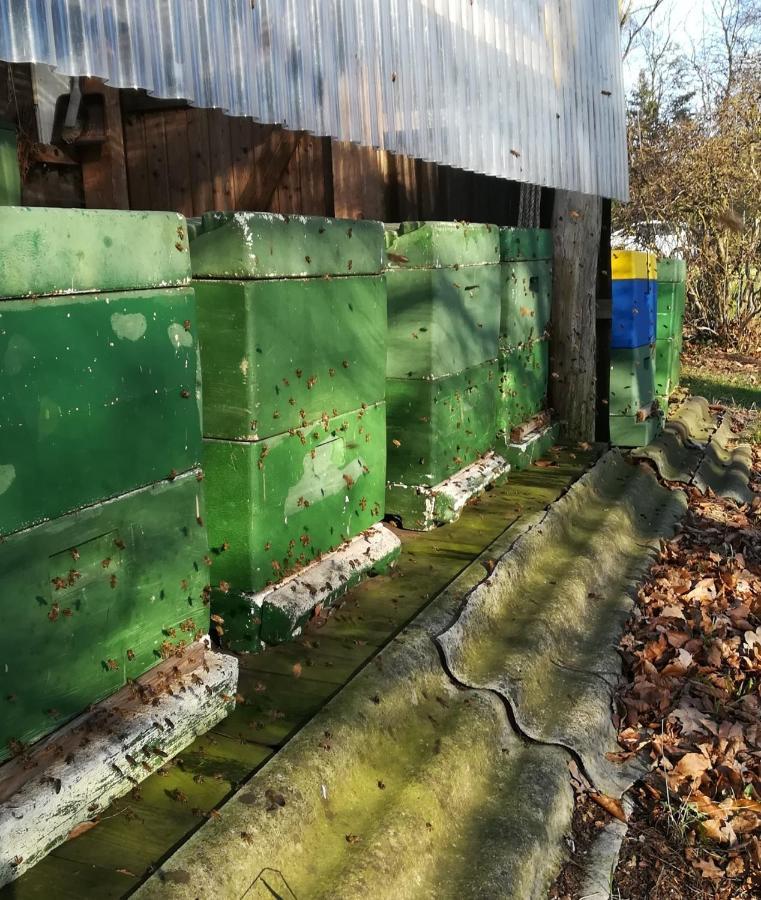Ferienwohnung Wiesenweg Bad Bederkesa Exterior foto