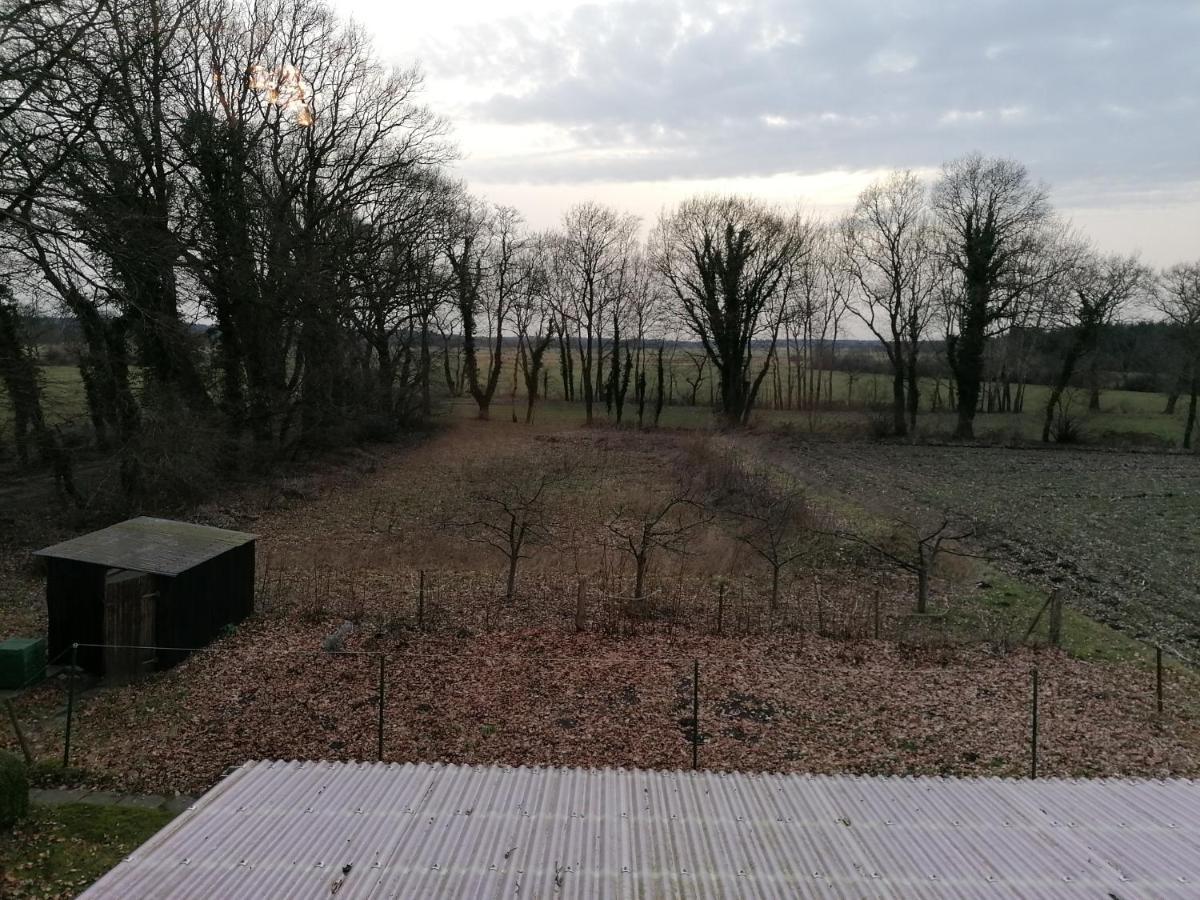 Ferienwohnung Wiesenweg Bad Bederkesa Exterior foto